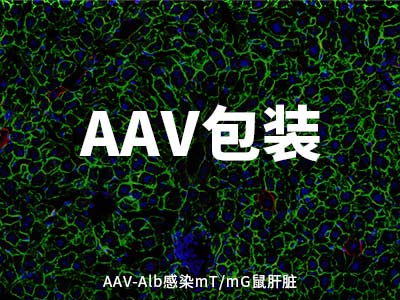 米乐·(中国)股份有限公司
