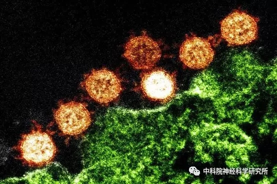 米乐·(中国)股份有限公司